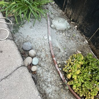 Sol Pacific Pool Plastering - More waste water that hardened on drip lines. - Pool Cleaners Near Me - El Cajon, California Sol Pacific Pool Plastering - More waste water that hardened on drip lines. - Pool Cleaners Near Me - El Cajon, California