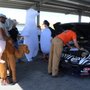 Photo of Zoo Racing