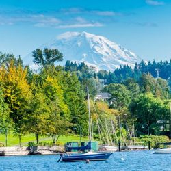 Scott A. Babin DDS & Associates