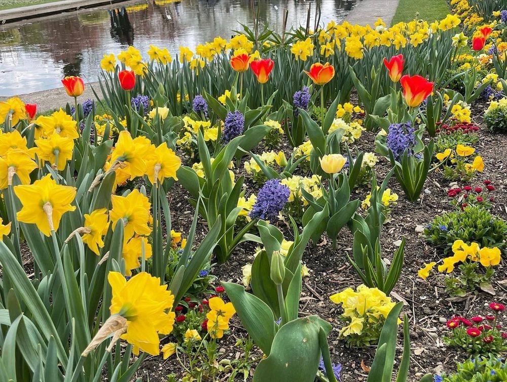Alter Botanischer Garten