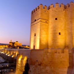 Property Management Marbella