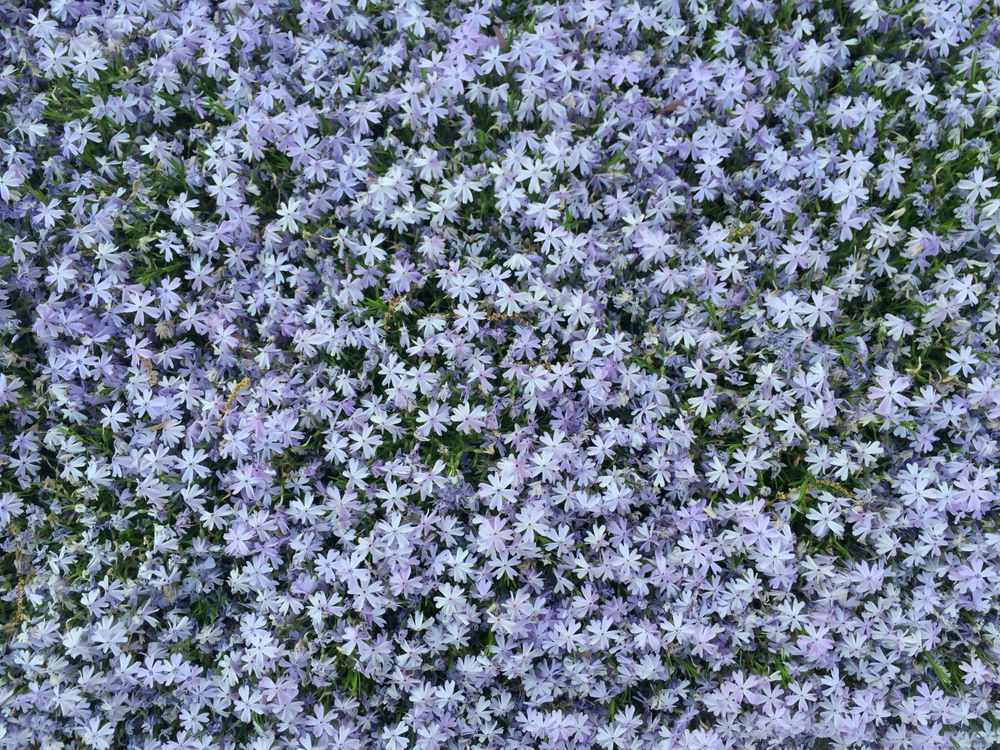 SUTTON PLACE APARTMENTS & TOWN HOMES 59 Photos 8 Deliquia Pl