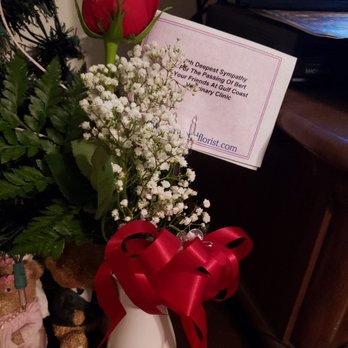 Gulf Coast Veterinary Center - Thank you - Veterinarians Near Me - Spring Hill, Florida