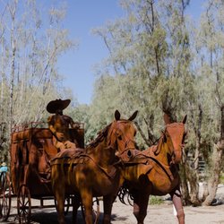 The Lazy C Ranch