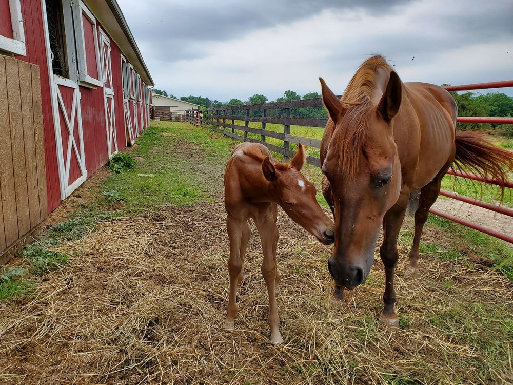 RIVER’S BEND RANCH 102 Photos & 22 Reviews 397 Riverbend Rd, Stanley, Virginia Venues