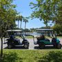 Photo of New Port Richey Golf Cart Rentals
