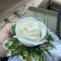 Photo of Flowers by Webster