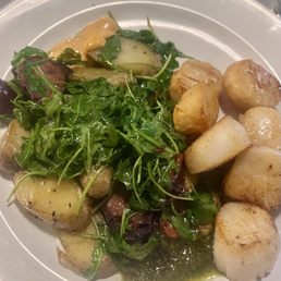 Scallops Scallops