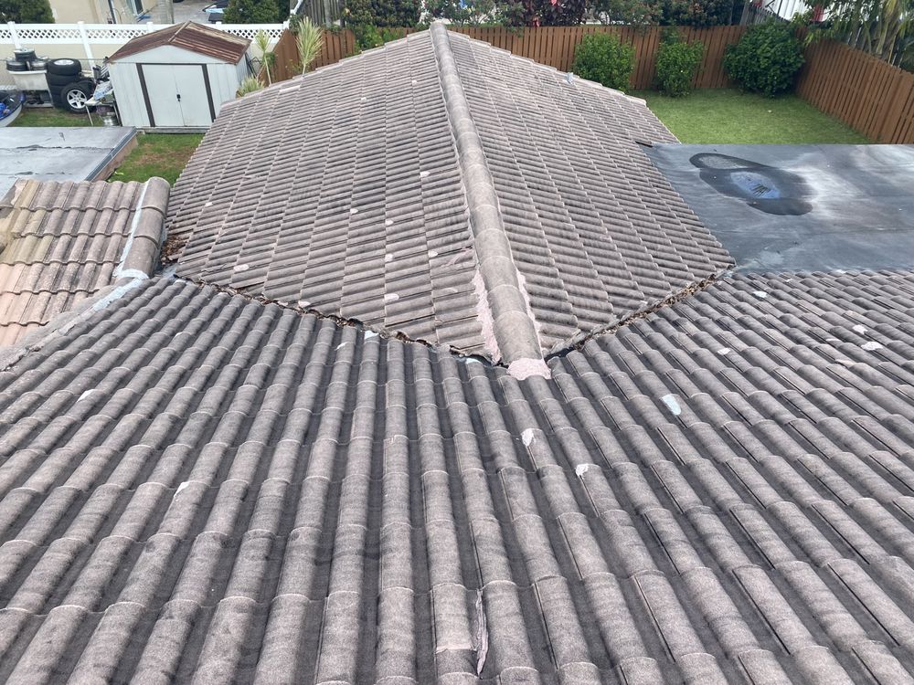 Slide of Renew Roof Cleaning