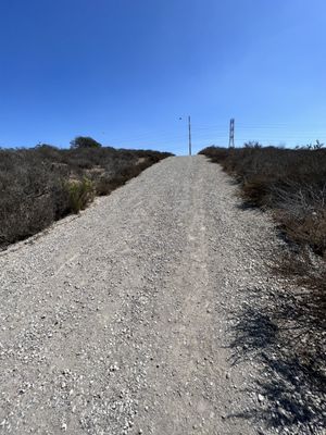 Tecolote Canyon Natural Park and Nature Center by null