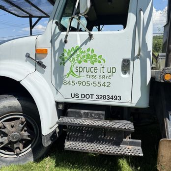 HONESTree - Tree Services Near Me HONESTree - Tree Services Near Me