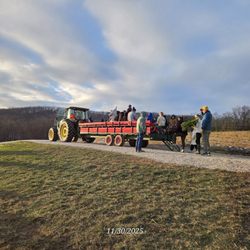 Pea Ridge Forest Christmas Tree Farm