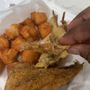Photo of More Than Just Shark Bite