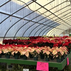 Gabrielsen Country Farms - Beautiful