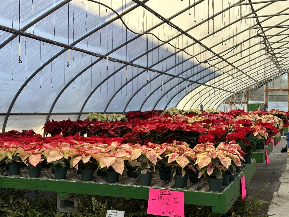 GABRIELSEN COUNTRY FARMS 16 Photos 200 Herricks Ln, Jamesport, New