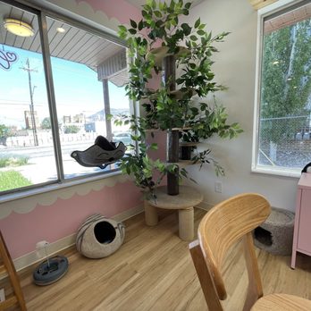 The House Cat - Coffee & Tea Near Me - Ogden, Utah The House Cat - Coffee & Tea Near Me - Ogden, Utah