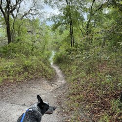 Madison Blue Springs State Park