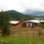 Photo of Conifer Stables
