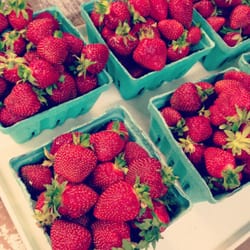 Bechdolt's Orchards - FRESH STRAWBERRIES!!