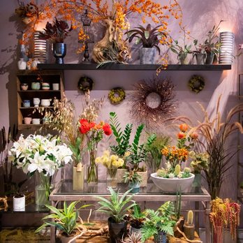 Sol Ambiance - Sol Ambiance shop. - Florists Near Me - San Francisco, California Sol Ambiance - Sol Ambiance shop. - Florists Near Me - San Francisco, California