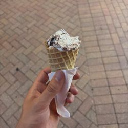 Ice Cream Shoppe Lakewood Ranch