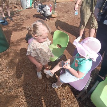 Maui Animal Farm - :) - Petting Zoos Near Me - Lahaina, Hawaii