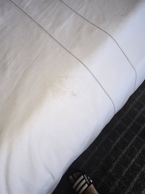 Oakland Airport Executive Hotel by null