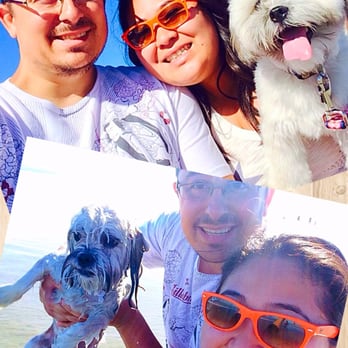 Coronado Dog Beach - Our before and after pic. - Beaches Near Me - Coronado, California Coronado Dog Beach - Our before and after pic. - Beaches Near Me - Coronado, California