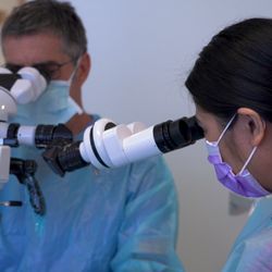 Endo Arte