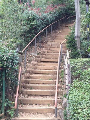 Nihon Minka-en (Japan Open-Air Folk Museum) by null