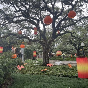 Houston Zoo - Zoos Near Me - Houston, Texas Houston Zoo - Zoos Near Me - Houston, Texas