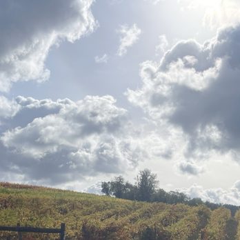 Hi-Time Wine Cellars - Vineyard - Beer, Wine & Spirits Near Me - Costa Mesa, California