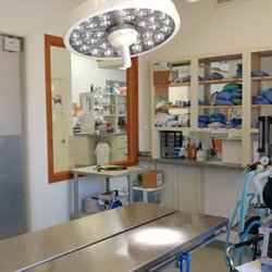 North Country Veterinary Clinic - Surgical suite