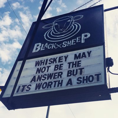 Black Sheep by null