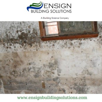 Ensign Building Solutions - Dangerous mold - Damage Restoration Near Me - Cumming, Georgia