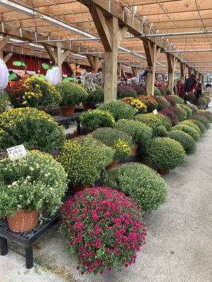 Calareso's Farm Stand & Garden Center by null