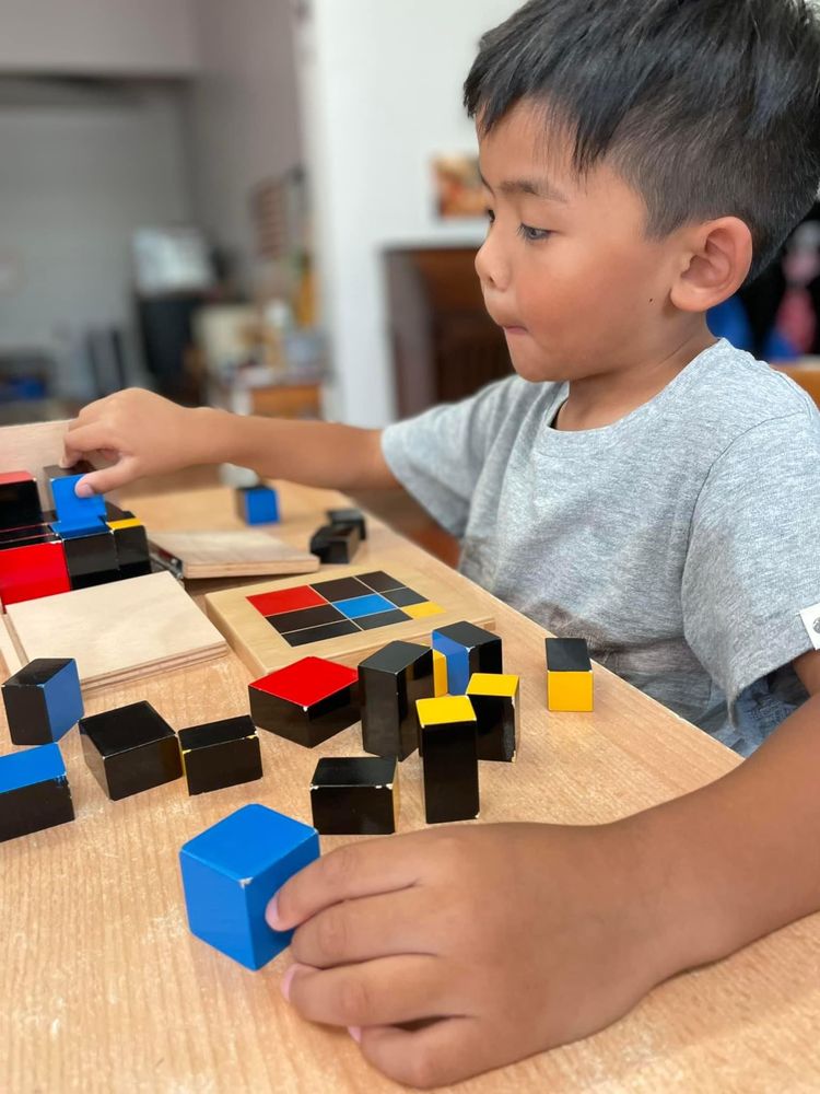 Montessori School of South Riding - childcare center in South Riding, VA