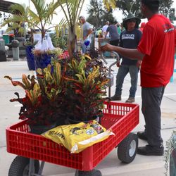 Beltran’s Nursery and Landscaping