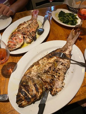 Agnanti by null Agnanti by null