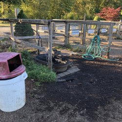 Ewing Young Dog Park