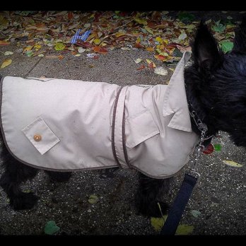 The Neighborhood Vet - This coat was passed down through generations in my family. - Veterinarians Near Me - Brooklyn, New York