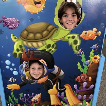 Loggerhead Marinelife Center - Community Service/Non-Profit Near Me - Juno Beach, Florida Loggerhead Marinelife Center - Community Service/Non-Profit Near Me - Juno Beach, Florida