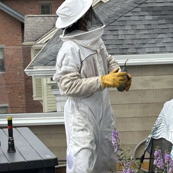 Neal Pest Control - Looking back to confirm wasps are swarming to the application - Pest Control Near Me - Plymouth, Massachusetts Neal Pest Control - Looking back to confirm wasps are swarming to the application - Pest Control Near Me - Plymouth, Massachusetts