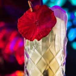 Oddwood - As you sip on your consummately crafted cocktail - expertly prepared by our mixologist virtuosos