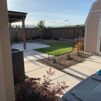 Turfworks - Back yard coming from side gate. Blue Flame Agave, Crepe Myrtle in corner - Landscaping Near Me - Vacaville, California Turfworks - Back yard coming from side gate. Blue Flame Agave, Crepe Myrtle in corner - Landscaping Near Me - Vacaville, California