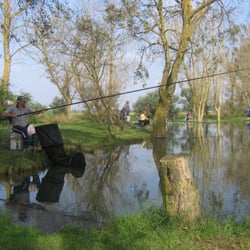 Camping le Tarteron - Etang de pêche