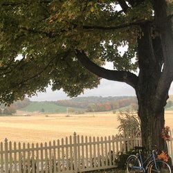 Oak Haven Bed and Breakfast - View from the front porch