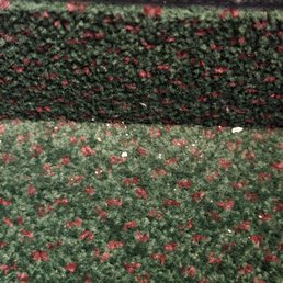 Carpet was very unclean