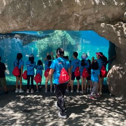 Champ Camp Great Outdoors at Colorado School of Mines
