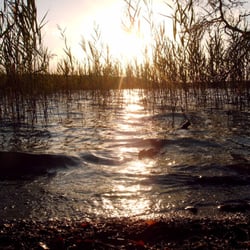 Großer Stechlinsee